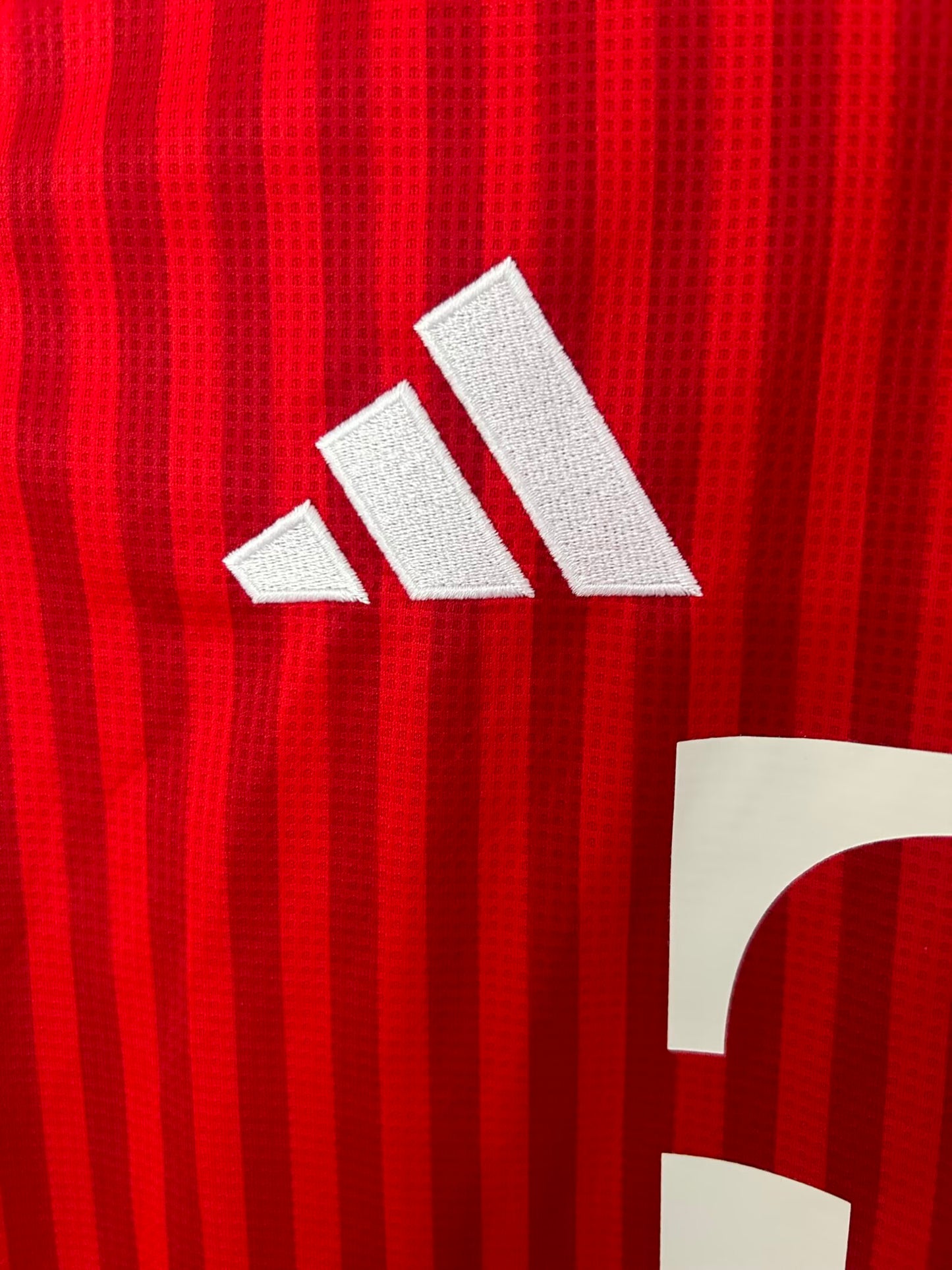 Bayern Múnich Local - Temporada 26/27