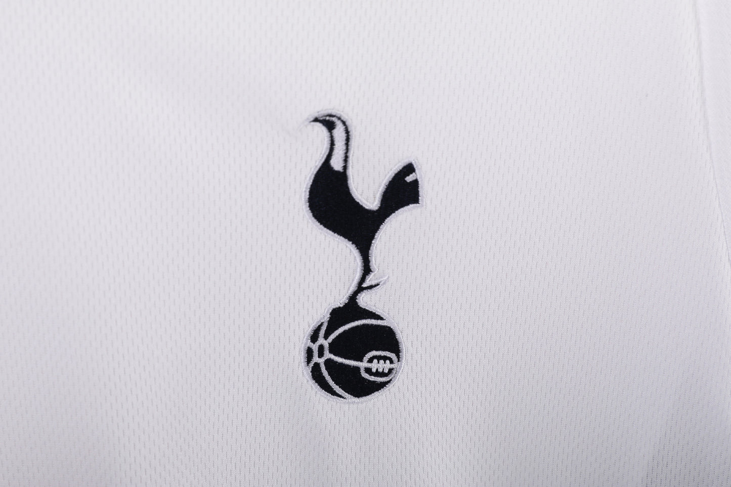 Tottenham Local - Temporada 2008/09