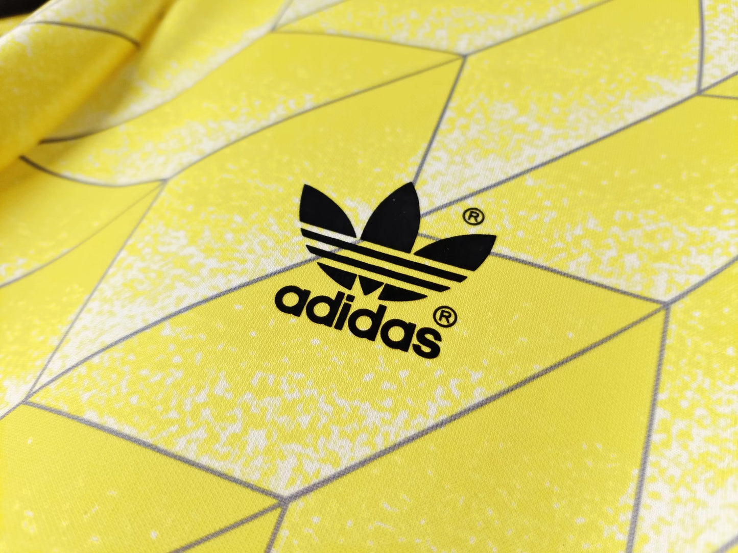 Borussia Dortmund Local - Temporada 1988