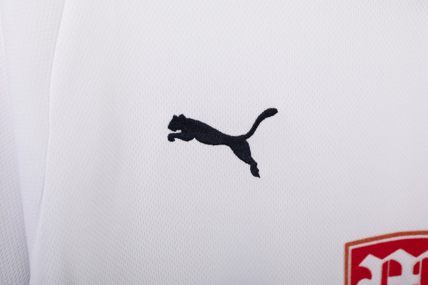 Tottenham Local - Temporada 2008/09
