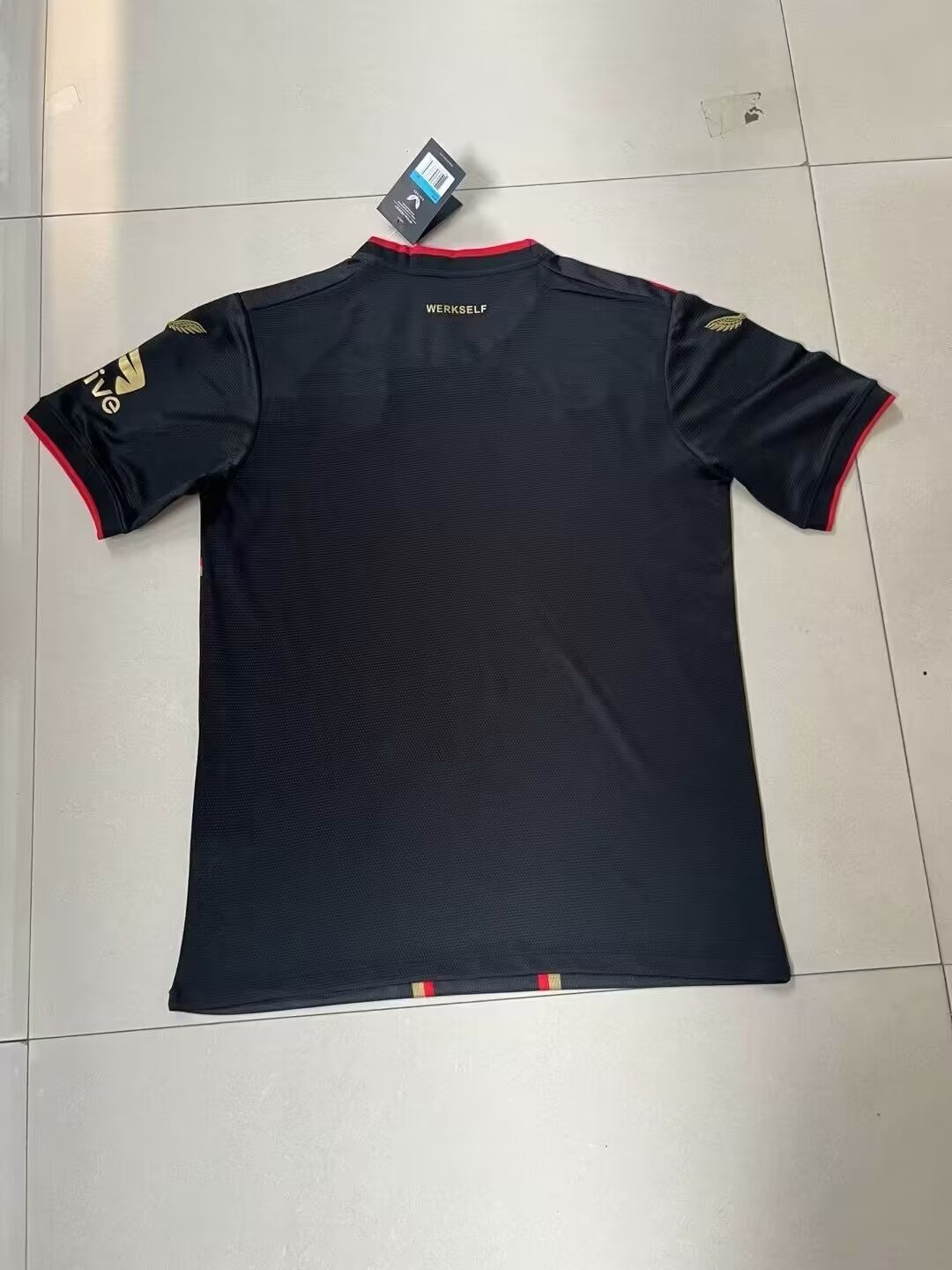 Bayer Leverkusen Local - Temporada 24/25