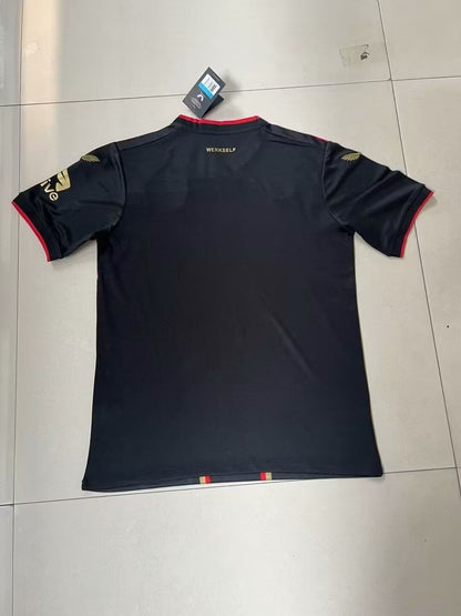 Bayer Leverkusen Local - Temporada 24/25